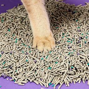 img 1 attached to 🐾 Flushable 5-in-1 Tofu Cat Litter by PETKIT: Activated Carbon, Odor-Free, Ultra-Absorbent, Fast-Drying