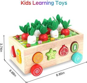 img 3 attached to Enhance Toddler's Development with Montessori Wooden Educational Toys: Shape+Color Recognition, Fine Motor Skills Game | Age 2 3+ | Boys Girls Learning Toys