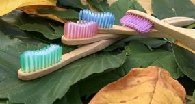 img 3 attached to 🌱 Medium Adult Bamboo Toothbrushes with Nylon Bristles - Natural, Organic, Eco-Friendly - Biodegradable Handles & Packaging - Promoting Dental Care, Sustainability - Zero Waste Products (Pack of 12)