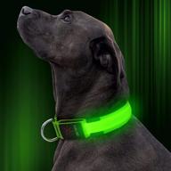 🐶 illumifun led dog collar: usb rechargeable glowing pet safety collar for small, medium, large dogs - adjustable light up collars logo