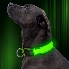 img 4 attached to 🐶 Illumifun LED Dog Collar: USB Rechargeable Glowing Pet Safety Collar for Small, Medium, Large Dogs - Adjustable Light Up Collars