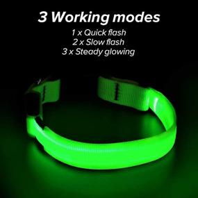 img 3 attached to 🐶 Illumifun LED Dog Collar: USB Rechargeable Glowing Pet Safety Collar for Small, Medium, Large Dogs - Adjustable Light Up Collars