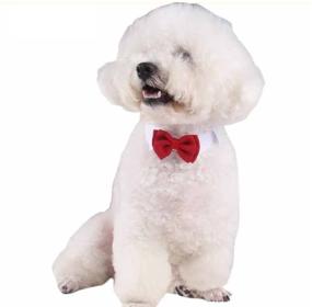 img 2 attached to 🐶 EOM Selected Adjustable Dog Bow Tie - Stylish Pet Costume Collar with Stripe Design - Ideal for Wedding Tie Party and Formal Occasions