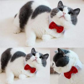 img 3 attached to 🐶 EOM Selected Adjustable Dog Bow Tie - Stylish Pet Costume Collar with Stripe Design - Ideal for Wedding Tie Party and Formal Occasions