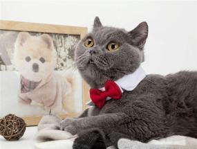img 1 attached to 🐶 EOM Selected Adjustable Dog Bow Tie - Stylish Pet Costume Collar with Stripe Design - Ideal for Wedding Tie Party and Formal Occasions