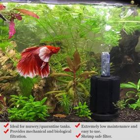 img 2 attached to 🐠 SunGrow Betta Sponge Filter: Ideal for Tropical Fish and Breeder Aquariums, Great for Fry and Small Fish! Must-Have for Aquarium Enthusiasts, Airline Tube Not Included (1 Pack)