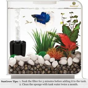 img 1 attached to 🐠 SunGrow Betta Sponge Filter: Ideal for Tropical Fish and Breeder Aquariums, Great for Fry and Small Fish! Must-Have for Aquarium Enthusiasts, Airline Tube Not Included (1 Pack)