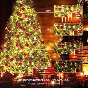 img 1 attached to 🎄 Dual Color Warm White String Lights: DOTUCOK Christmas Tree Lights with 300 LEDS, 9 Lighting Modes, and 105ft Length - Perfect for Indoor and Outdoor Holiday Decoration