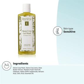 img 1 attached to 🌿 Discover the Refreshing Power of Eminence Organic Skincare's Stone Crop Gel Wash (125 ml)