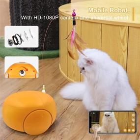 img 3 attached to 🐾 Smart Pet Camera Robot, Treat Dispenser for Cats and Dogs, Pumpkii Home Robot with Remote App Control, Two-Way Audio, HD 1080P Mobile Camera with Night Vision, Interactive Replaceable Cat Teaser
