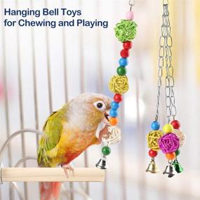 img 1 attached to Colorful 8-Pack Bird Parrot Toys: Swing, Chewing, Hanging Bell & Climbing Toys for Parakeets, Cockatiels, Conures, Finches, Budgie, Macaws, Parrots