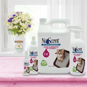 img 2 attached to 🐾 No Scent Cat - Probiotic & Enzyme Formula Odor Eliminator: Safe, All-Natural Cleaner for Pet Urine and Feces on Various Surfaces