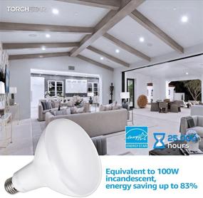 img 3 attached to 🔦 TORCHSTAR Dimmable Industrial Electrical Product - Daylight Equivalent with Warranty