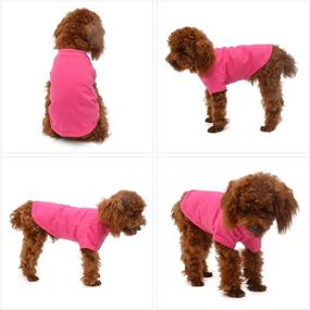 img 1 attached to 🐾 Stylish and Comfortable Pet Clothing: Lovelonglong 2019 Costumes for Dogs - 100% Cotton, 18 Colors