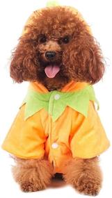 img 2 attached to Halloween Pumpkin Costume Hoodie Coat for 🎃 Small to Medium Dogs - Delifur Dog Cat Fleece