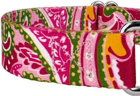 img 1 attached to 🐾 Country Brook Design - Paisley Collection: Martingale Collar & Leash Set - Stylish and Functional Pet Accessories