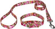 🐾 country brook design - paisley collection: martingale collar & leash set - stylish and functional pet accessories logo