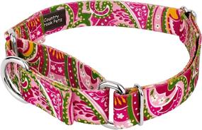 img 3 attached to 🐾 Country Brook Design - Paisley Collection: Martingale Collar & Leash Set - Stylish and Functional Pet Accessories