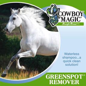 img 1 attached to Revitalizing your Ride: Cowboy Magic GreenSpot Remover