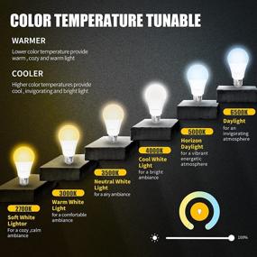 img 1 attached to Boxlood Dimmable LED Bulb - Upgraded Replacement