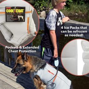 img 1 attached to 🐶 Silver Ultra Paws Cooling Dog Coat - Perfect for Hot Weather