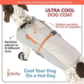 img 2 attached to 🐶 Silver Ultra Paws Cooling Dog Coat - Perfect for Hot Weather