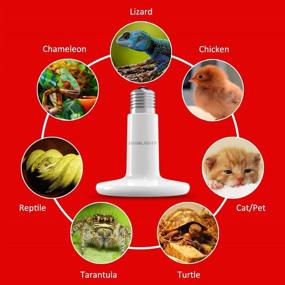 img 1 attached to 🐣 BYB - 100W 110V Ceramic Infrared Heat Emitter: Efficient Brooder Coop Pet Lamp Bulb