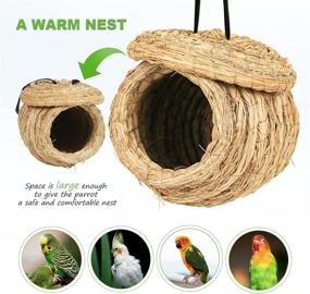 img 1 attached to 🐦 S-Mechanic Straw Birdhouse Eco-Friendly Fiber Birds Nest with Birds Toy and Hanging S Hook - 100% Natural Cages for Birds