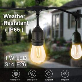 img 1 attached to Eva's Light 48ft Smart Outdoor String Lights: Dimmable Edison Bulb, Alexa & Google Assistant Compatible, Weatherproof & Connectable