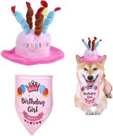 birthday bandana candle comfortable costume logo