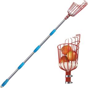 img 4 attached to 🍎 Fruit Picker Tool - Adjustable Height with Large Basket - 8 ft Apple Orange Pear Picker with Lightweight Stainless Steel Pole and Bonus Fruit Carrying Bag for Easy Harvesting (8 FT)