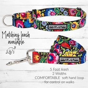 img 1 attached to 🐶 Lucky Love Premium No Slip Martingale Collar: Perfect for Whippets, Greyhounds, and More