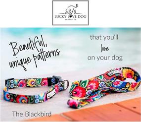 img 3 attached to 🐶 Lucky Love Premium No Slip Martingale Collar: Perfect for Whippets, Greyhounds, and More