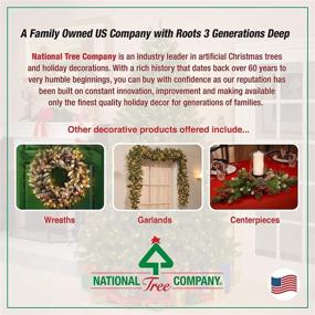 img 1 attached to 🎄 National Tree Company Pre-lit Artificial Christmas Décor Set with White Lights, Sisal Gift Boxes, 10X10X10.6