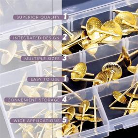img 1 attached to 🔨 Swpeet 60Pcs Gold Picture Hangers Assortment Kit, 4 Sizes with 10Ib, 20Ib, 40Ib, 60Ib Capacity – Professional Iron Alloy Nail Hooks for Photo Frames, Clocks, Mirrors, Jewelry – Wooden Support