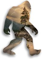 dhdm designs sasquatch laminated accesories logo