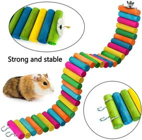 img 1 attached to Hamiledyi Activity Accessories Exercise Chinchilla