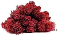 🌿 vibrant reindeer moss preserved - 2 ounces of red moss for fairy gardens and terrariums, ideal for crafts & floral projects - includes free nautical ebook by joseph rains logo