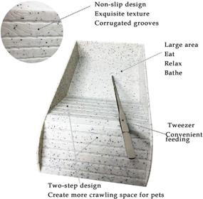 img 3 attached to 🐢 kathson Reptile Feeding Dish with Basking Platform: Turtle Food and Water Bowl for Horned Frogs, Lizards, and Tortoise Habitat - Ideal for Amphibians' Baths