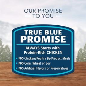 img 1 attached to 🐱 Blue Buffalo Wilderness Wild Delights: High Protein Grain-Free Kitten Flaked Wet Cat Food, Chicken & Trout – 24 Pack