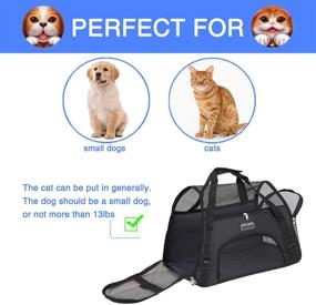 img 3 attached to 🐾 Airline Approved Soft Pet Carrier - Travel Bag for Cats and Small Dogs, Under Seat Compatible, Breathable Design with 4 Windows
