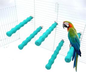 img 4 attached to 🐦 Enhance Your Bird's Habitat with the Alfie Pet - Gene Sand Covered Perch 5-Piece Set