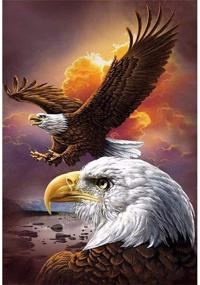 img 4 attached to 🦅 DIY 5D Eagles Diamond Painting Sunset Kits - Full Drill Animals Diamond Art Gem Painting for Adults, Kids - Embroidery Rhinestone Mosaic Making Cross Stitch Craft - Home Wall Art Decor 30x40 cm