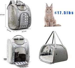 img 3 attached to XZKING Cat Backpack for Cats, Kitten, and Small Dogs - Travel Bag for Pets, Ideal for Traveling, Hiking, Camping with Puppy, Cats, and Bunny - Large Cat Backpack Carrier