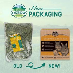 img 2 attached to 🌾 All-Natural Orchard Grass Hay for Small Pets: Chinchillas, Rabbits, Guinea Pigs, Hamsters & Gerbils - Oxbow Animal Health
