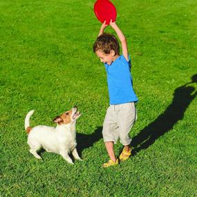 img 1 attached to 🎉 Fun Central 12 Pack - 10 inch Flying Discs: Backyard Games & Sports Party Favors for Kids & Adults - Assorted Colors