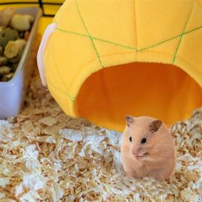 img 1 attached to 🍍 Pineapple Hammock Soft Hamster House: Cozy Sleeping Nest for Small Animals - Ideal Cage Accessories for Guinea Pigs, Rats, Chinchillas, and Sugar Gliders