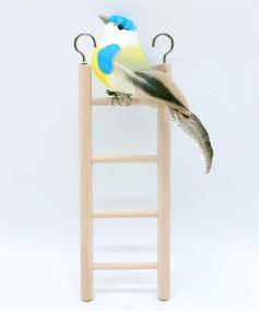 img 2 attached to 🦜 Pair of Wood Bird Ladders - Parrot Toy for Climbing and Exercise