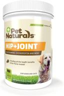 🐾 pet naturals - hip and joint support chewables for dogs and cats, 160 bite-sized treats logo