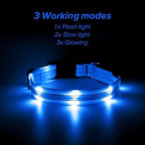 img 3 attached to 🌟 Candofly Light Up Dog Collars: USB Rechargeable LED Collar with Double Lights - Water Resistant Pet Accessories for Night Walking & Camping